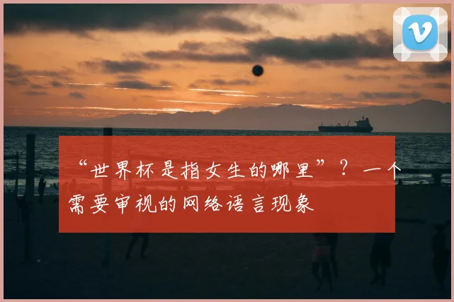 “世界杯是指女生的哪里”?一个需要审视的网络语言现象