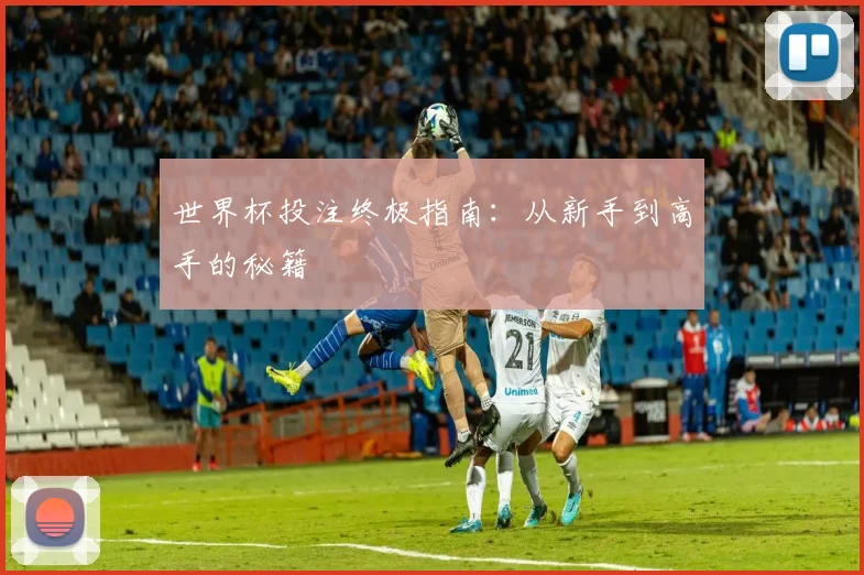 世界杯投注终极指南:从新手到高手的秘籍