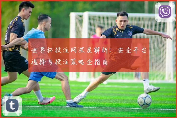 世界杯投注网深度解析:安全平台选择与投注策略全指南