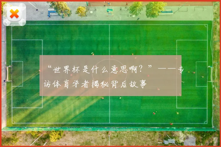 “世界杯是什么意思啊?”——专访体育学者揭秘背后故事